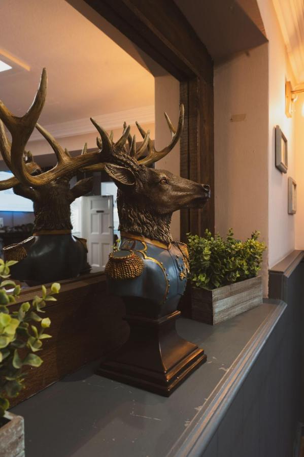 The Stag Hotel And Mailmans Arms Lyndhurst Buitenkant foto
