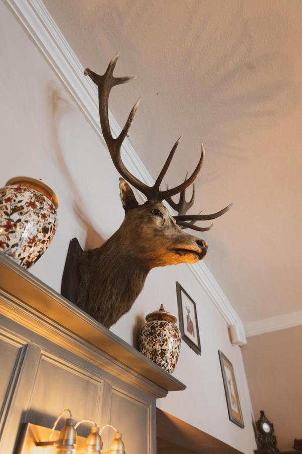 The Stag Hotel And Mailmans Arms Lyndhurst Buitenkant foto